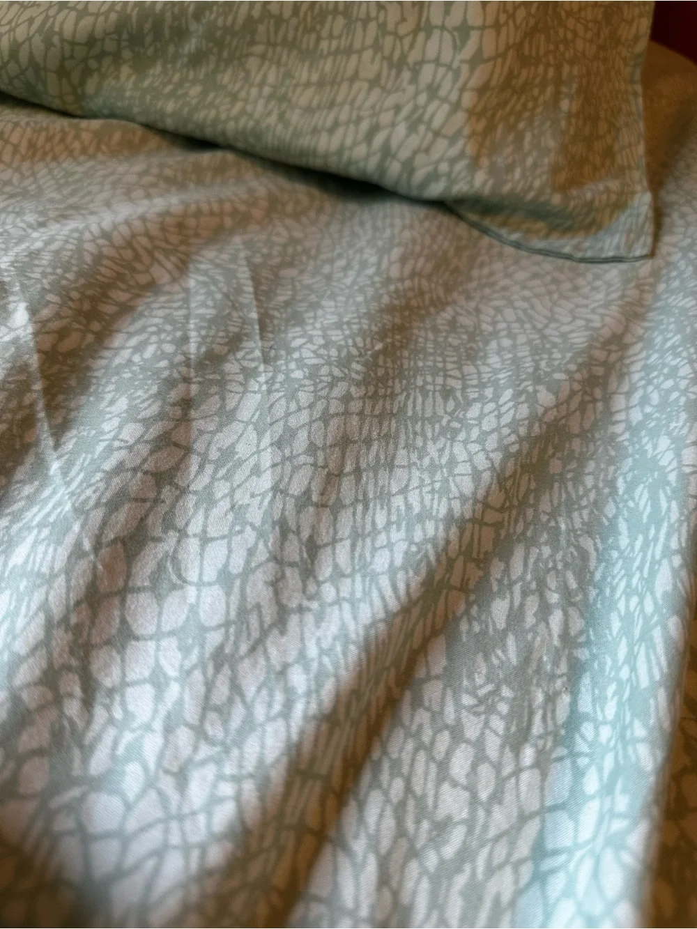 5 Items Steve Madden Sage Green Textured Full / Queen size Sheet Set Pillow